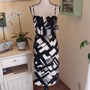 NWT Donna Ricco Black And White Dress. Ebony And Ivory. Evening. Date Night